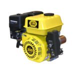 Motor 6.5 HP AE OHV imp. VX200AE