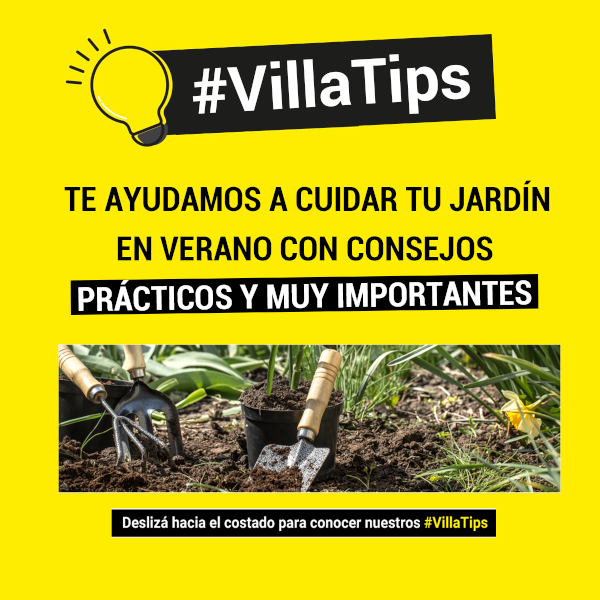 6-villa tips 6-villa tips
