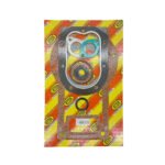 Juego de juntas // 00229C