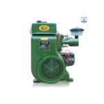 Motor Villa F2 16HP distr. AE y alternador MV800F2DTRAE